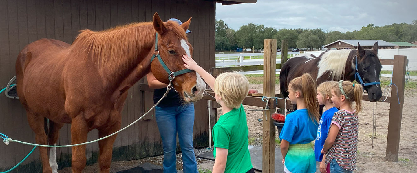 Youth pet horse at Camp Cristina YMCA.