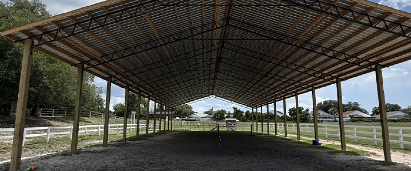 horse  cover