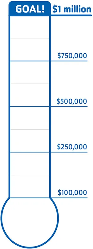 Donation Progress